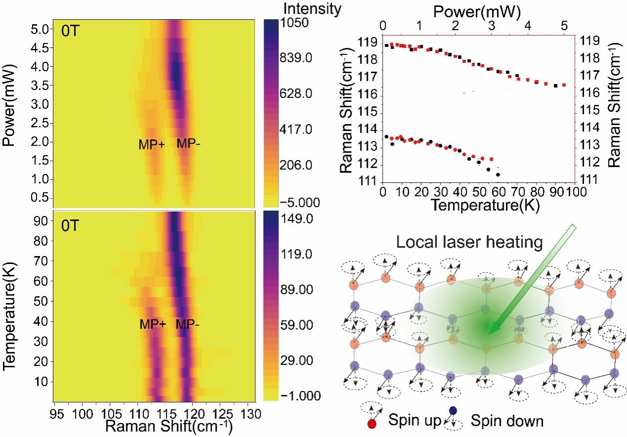于霆课题组在Nanoscale上以Strong and reciprocal magneto-phonon effects in a 2D antiferromagnetic semiconductor FePSe3为题发表研究文章