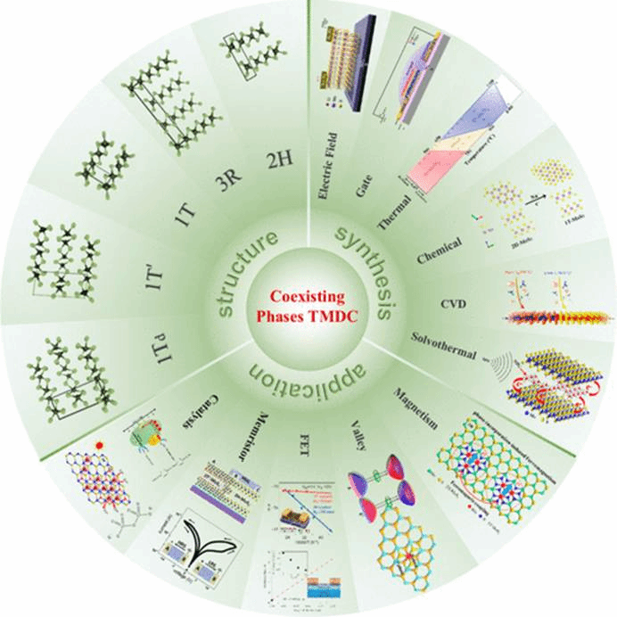 于霆课题组在ACS Nano上以Coexisting Phases in Transition Metal Dichalcogenides: Overview, Synthesis, Applications, and Prospects为题发表综述文章